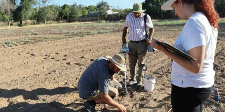 Etiquetas electromagnéticas para mejorar la gestión de residuos en entornos agrícolas y evaluar su impacto en el medioambiente