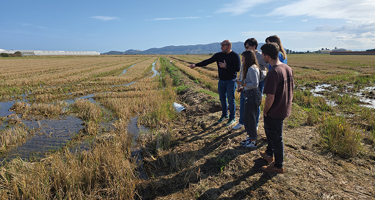 El proyecto GO STRAWMAT producirá materiales ignífugos con propiedades de aislamiento térmico usando la paja del arroz