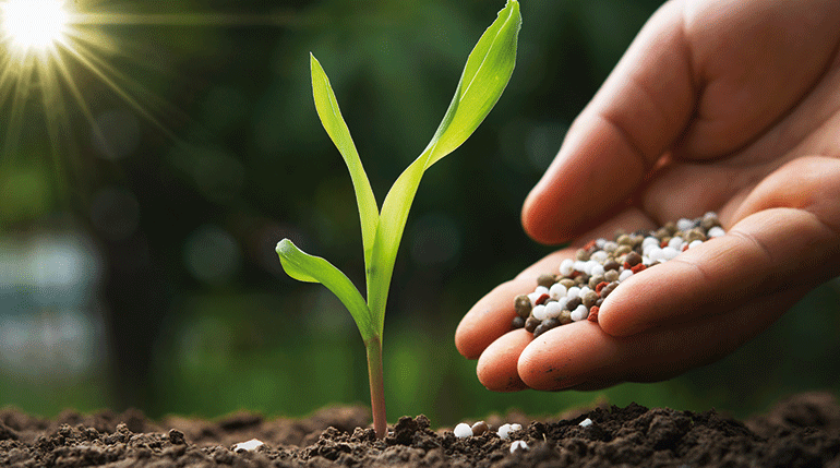 Neiker impulsa la transformación de residuos agroalimentarios en biofertilizantes para una agricultura más sostenible