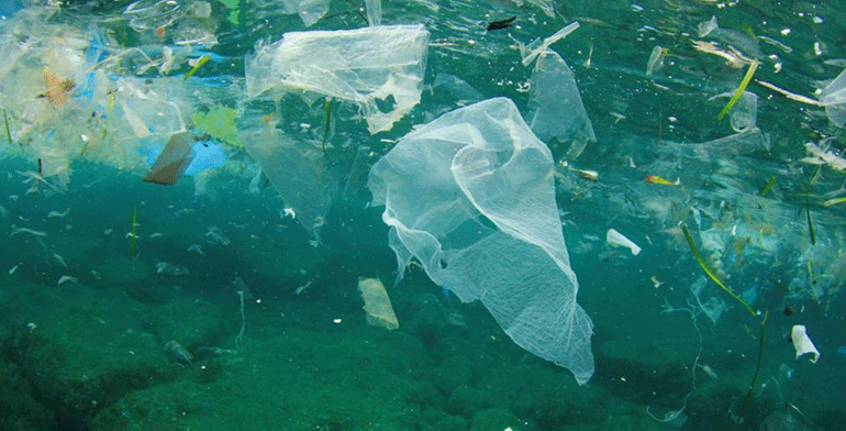 Alerta por la ´sopa química´: la contaminación invisible que amenaza el Mediterráneo