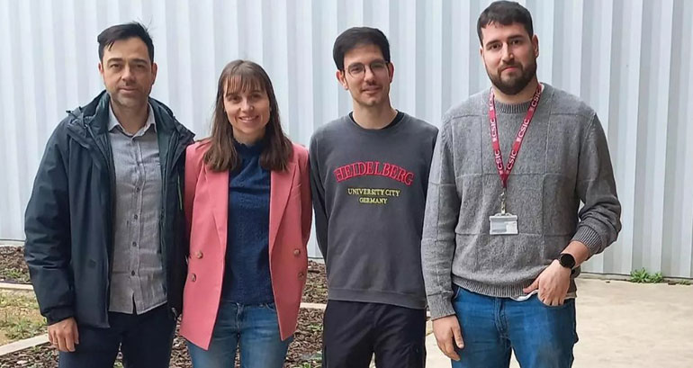 Investigadores aragoneses del INMA estudian nuevos nanomateriales avanzando en la química del origami de ADN