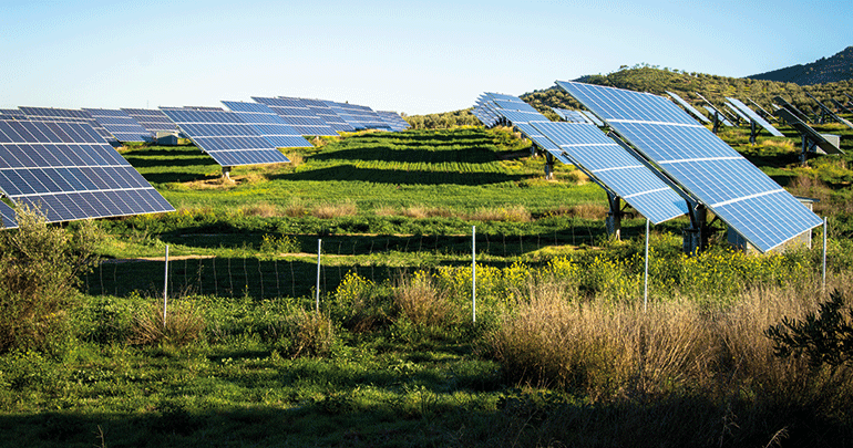 Según BauWatch, la rentabilidad de los parques de energía solar españoles dependen de sus medidas de protección