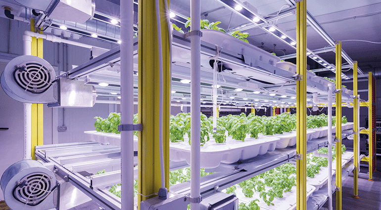cultivos-verticales-optimizar-produccion-sostenible-alimentos