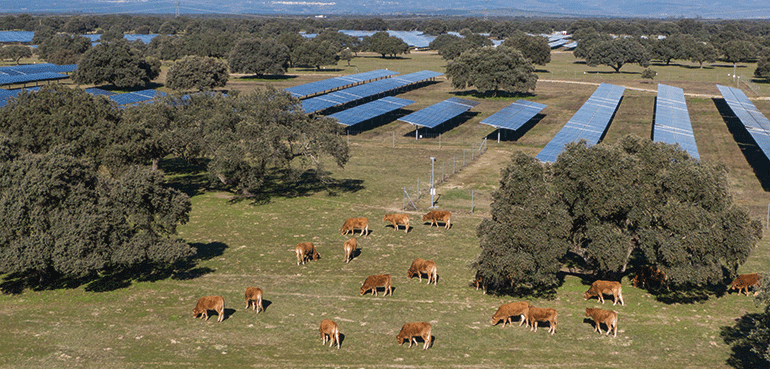 UNEF otorga el Sello de Excelencia en Sostenibilidad a la planta fotovoltaica Talayuela II de Statkraft, en Cáceres 