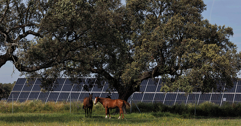 UNEF otorga el Sello de Excelencia en Sostenibilidad a la planta fotovoltaica Talayuela II de Statkraft, en Cáceres 